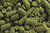 Hallertauer Smaragd - Pellets Typ 90 - Ernte 2021 - 8,1%